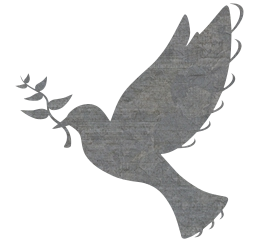 hope nature peace faith animal wing sign spirit love religion freedom fly dove bird symbol pigeon feather peaceful purity flight design flying 