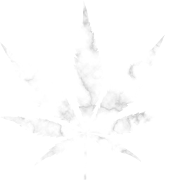 marijuana cut healing weed out nature abuse ganja drug addiction culture cannabis medicine smoke pot plant legal medical joint medicinal hemp illegal herb leaf herbal narcotic agriculture health natural grass isolated hash farm 