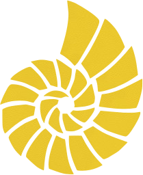 imprint ocean shell pattern trace shape template clip art design sea