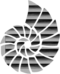 imprint ocean shell pattern trace shape template clip art design sea 