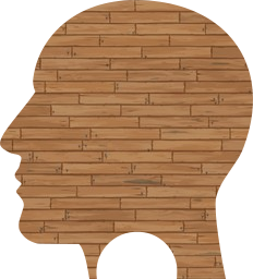 prismatic rainbow unknown question thought profile chromatic circles cranium contemplate mark man human head analyze think male 