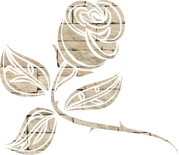 valentine's thorns plant rosa stem stylised stylized leaves leaf single flower rose valentines foliage 