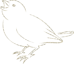 animal bird sweet songbird small drawing sparrow funny cute 