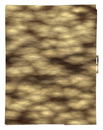 copy book magical literature grunge album tale memory nostalgia leisure save open grand family kid people diary table magic bloom story fairy read dream group photos knowledge cover photograph child blank school one textbook learn portrait retro vintage glowing fantasy page bright document learning photo 