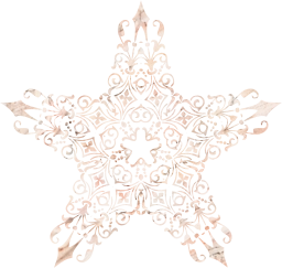ornamental forma vintage divisor Estrela decorativo floral geométrico abstrato desenhar arte 