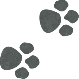 paw paws animal cat print dog trace track mouse reprint prints foot 