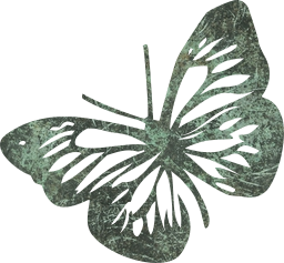 clipart nature patterned animal insect decorative arts illustrated cute fly scrapbooking wings crafts colors winged bright outline spring butterfly flying 