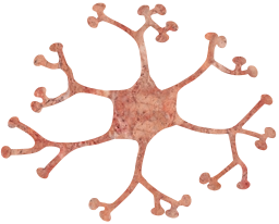 cell system nervous synapse mental neuron nerve nucleus biology brain science 