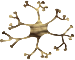 cell system nervous synapse mental neuron nerve nucleus biology brain science 