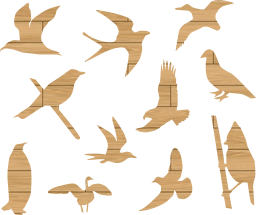 geese flying pigeons martin set birds goose swallow