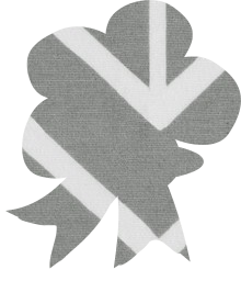 trophy win award first gold contest honor brevet winner emblem prize competition accolade decoration ribbon badge 