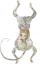 animal swinging tail hanging ape zoo funny monkey 