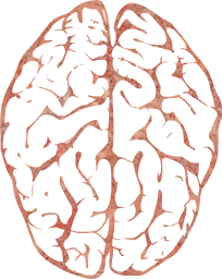 cerebrum psychology neurology medical anatomy intelligence organ mind memory genius medicine biology brain human head science think 