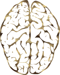cerebrum psychology neurology medical anatomy intelligence organ mind memory genius medicine biology brain human head science think 