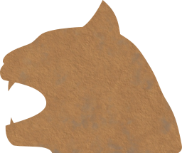 cat evil head panther 