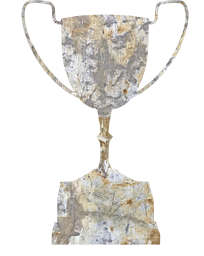 trophy award achievement gold victory winner prize cup sports 