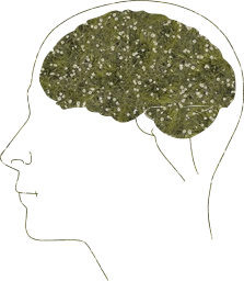 anatomy synapse physiology neuron thinking biology brain human science 