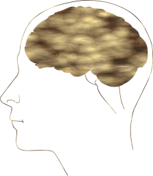anatomy synapse physiology neuron thinking biology brain human science 