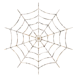 web cobweb 