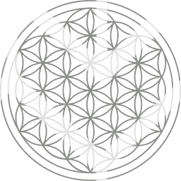 seed classic esoteric symmetry ancient hexagon golden spiritual sign life holy structure symbol pattern harmony geometry circles flower sacred light mandala 