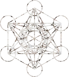 seed classic esoteric symmetry ancient hexagon golden spiritual sign life holy structure symbol pattern harmony geometry circles cube flower sacred light mandala 
