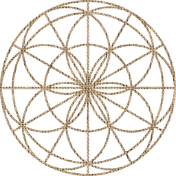 seed classic esoteric symmetry ancient hexagon golden spiritual sign life holy structure symbol pattern harmony geometry circles flower sacred light mandala 