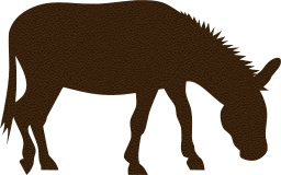 cute animal grey farm donkey 
