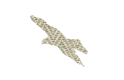 falcon tree wild hunter nature wildlife geek countryside animal prey majestic beak sign cartoon field perched feathers looking country eagle freedom fly raptor bird vulture wings hawk flight hunting 