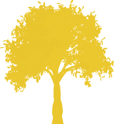 tree branch botanical orange trunk branches nature outdoors fall golden halloween leaves plant foliage environment leaf autumn seasonal environmental natural isolated ecology october conservation 