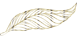 geese wild fauna pen poultry goose nature animal beak pigeons feathers birds freedom fly animals dove bird peacock beautiful feather wings beast duck to outline flight write flying