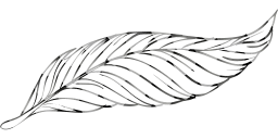 geese wild fauna pen poultry goose nature animal beak pigeons feathers birds freedom fly animals dove bird peacock beautiful feather wings beast duck to outline flight write flying 