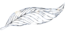 geese wild fauna pen poultry goose nature animal beak pigeons feathers birds freedom fly animals dove bird peacock beautiful feather wings beast duck to outline flight write flying 