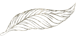 geese wild fauna pen poultry goose nature animal beak pigeons feathers birds freedom fly animals dove bird peacock beautiful feather wings beast duck to outline flight write flying 