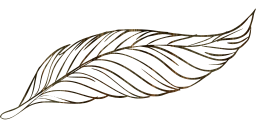 geese wild fauna pen poultry goose nature animal beak pigeons feathers birds freedom fly animals dove bird peacock beautiful feather wings beast duck to outline flight write flying