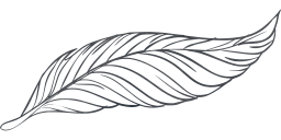 geese wild fauna pen poultry goose nature animal beak pigeons feathers birds freedom fly animals dove bird peacock beautiful feather wings beast duck to outline flight write flying