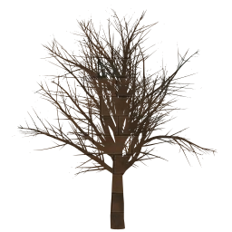 tree branch no trunk winter barren scary nature fall fear halloween leaves bare environment autumn empty creepy seasonal wood isolated spooky scenery 