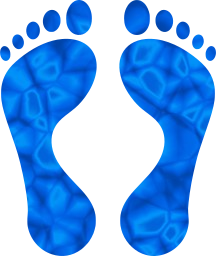 feet foot 