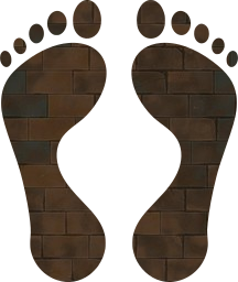feet foot 