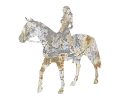 amazone animal elegant cheerful horse sporty figure woman leisure equestrian cute ride