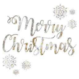 snowflake glitter snow home seasonal celebrate merry festive joy bright xmas december flake holiday decoration x-mas christmas 