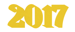 2017 year 