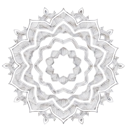 geometry shape line geometric pattern mandala 