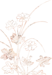 plantas flores botânico esboço vintage botânica pétalas floral desenhando sai folha flor natureza animais selvagens folhagem 