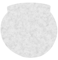 fruit orange citrus 