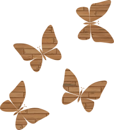 butterflies beauty golden nature field spring butterfly wings garden 