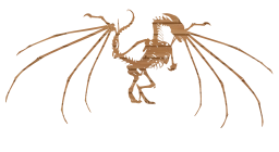 legend fairytale fantasy dragon skeleton 3d wings bones flying 