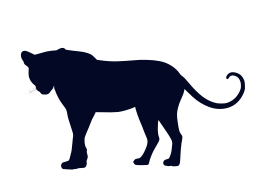 noble animal cat big world wildcat hunter nature elegant attention rendering predator leopard creature close dangerous portrait body full