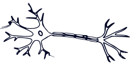 cell neurology intelligence neuron brain science 