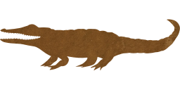 reptile animal alligator crocodile 
