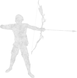 bow combat arrow archer fighter battle boy man shoot warrior male 